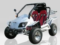 BUGGY HOMOLOGUE 2 PLACES