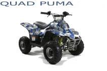 QUAD PUMA 110cc POUR ADOS