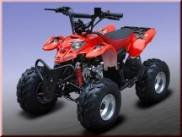 quad neo x 110cc