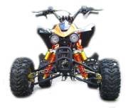 Quad panthera 110cc avec marche arriere
